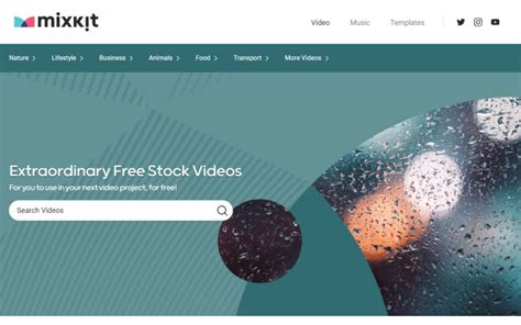 mixkit free videos|12 Sites for Free Stock Video